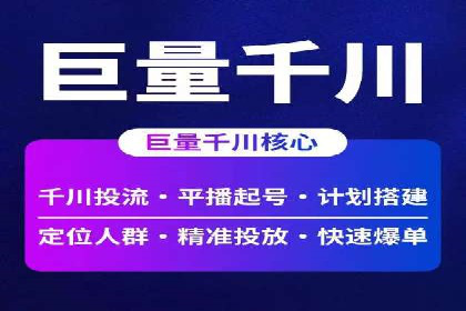 百度竞价代运营公司成功案例分析